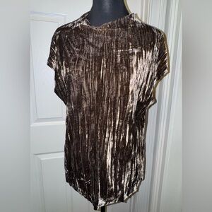 Zara Metallic Gray Velvet Short Sleeve Blouse
